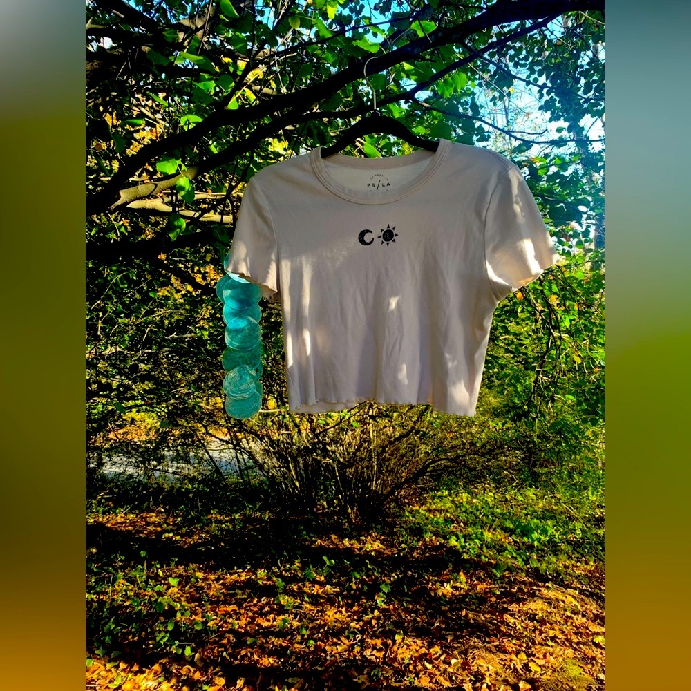 PacSun size M cropped T shirt printed on front and back